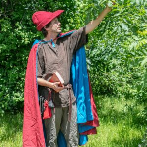 Les déambulations du Ménestrel