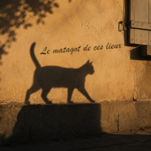 Le Matagot de ces lieux